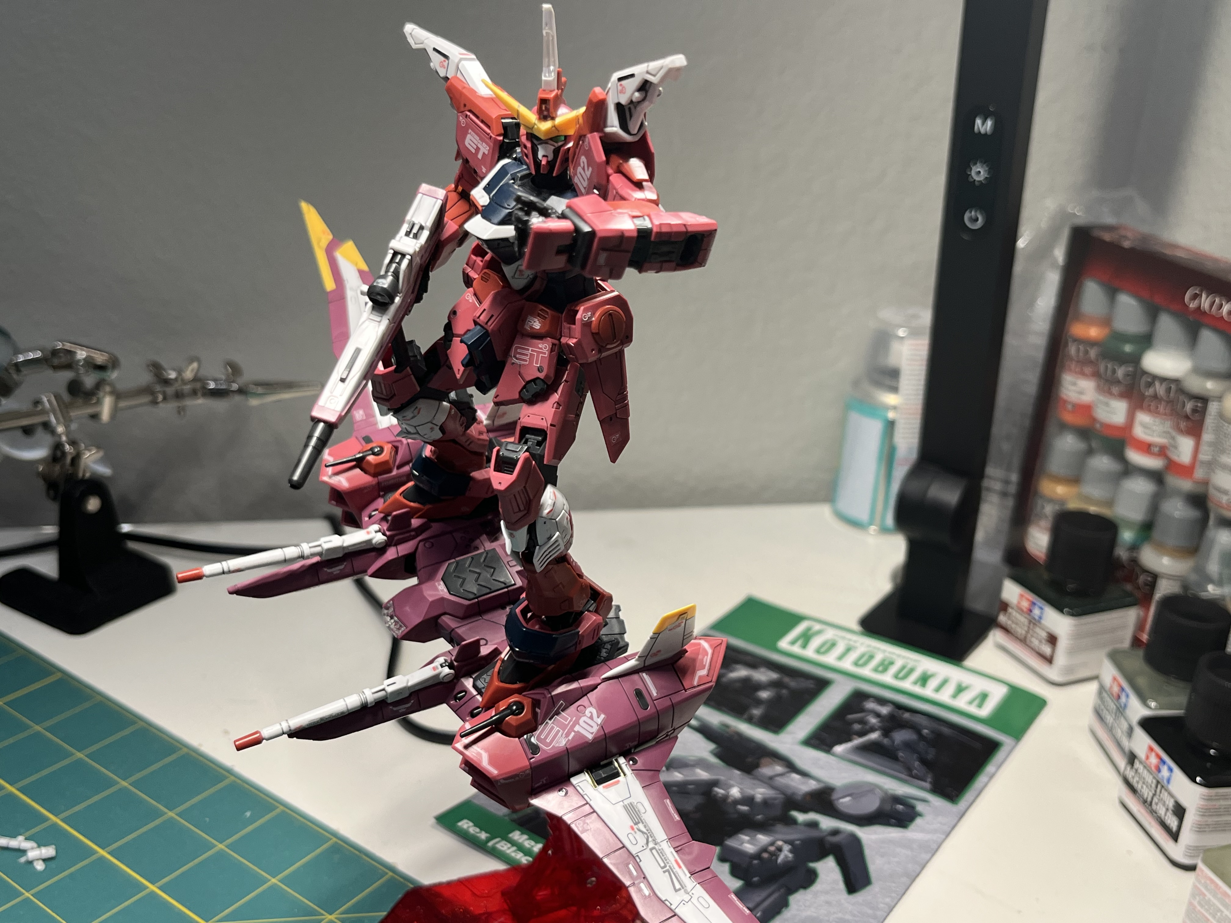 RG Infinite Justice