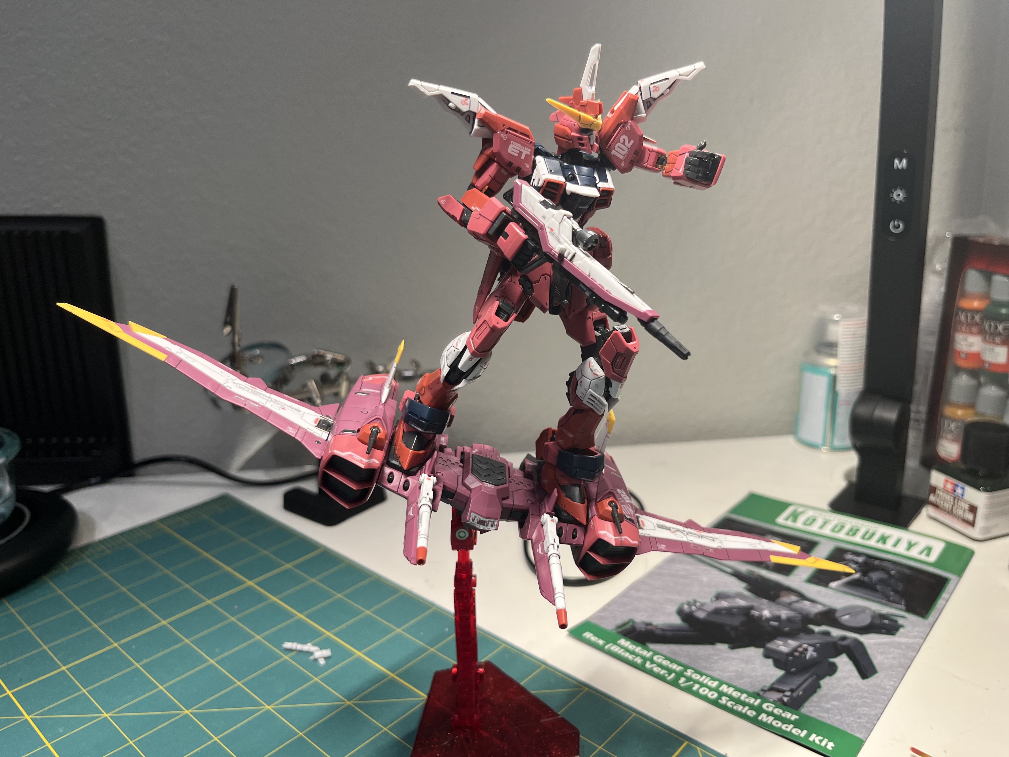 RG Infinite Justice